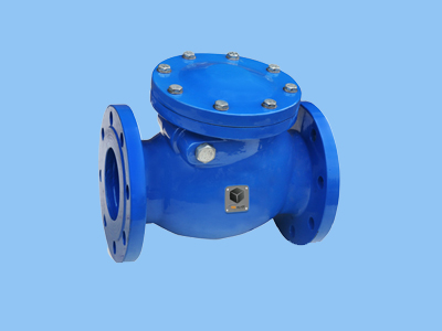 Check Valves Manufacturers and Suppliers in India 